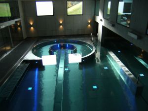Alpen Hotel pool