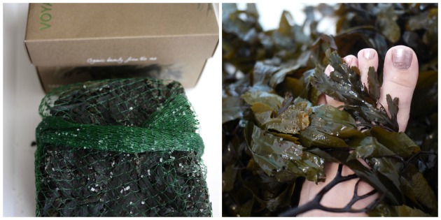 Voya's natural, organic seaweed